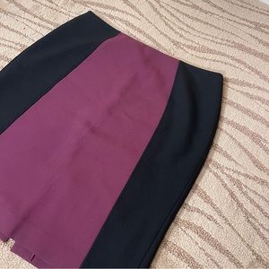 Color Block Pencil Skirt